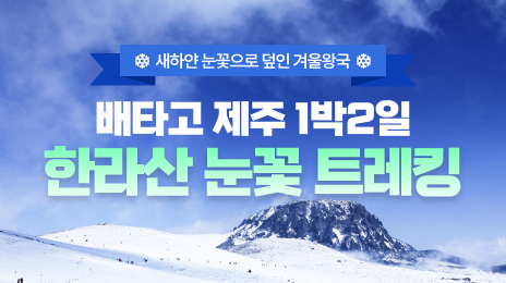 이벤트 베너 이미지